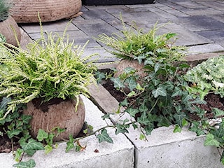Dekoracje i ozdoby do ogrodu z betonu-Kobea Ogrody i Bruki