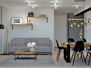 Apartamenty loft