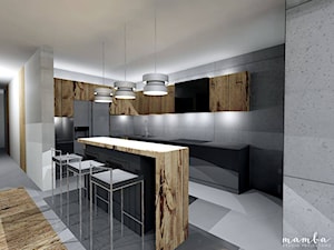 Apartament 100 m2 - Kuchnia, styl industrialny - zdjęcie od MAMBA studio projektowe