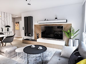 Projekt mieszkania - Austria 2017 - Średni szary salon z jadalnią - zdjęcie od BIBI