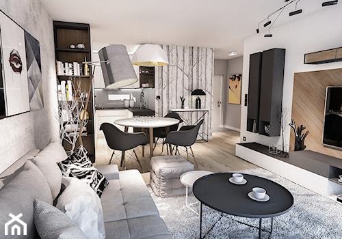 Projekt mieszkania - Austria 2017 - Średni biały salon z kuchnią z jadalnią z bibiloteczką - zdjęcie od BIBI Designe