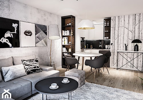 Projekt mieszkania - Austria 2017 - Średni biały szary salon z kuchnią z jadalnią z bibiloteczką - zdjęcie od BIBI Designe