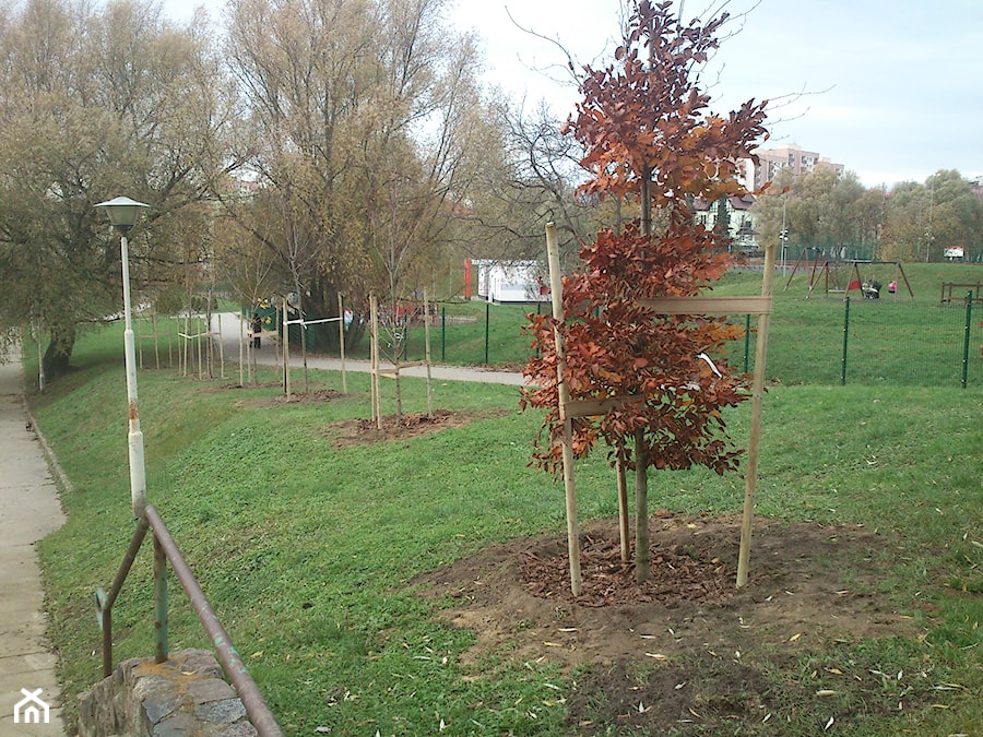 Zamówienie publiczne - zdjęcie od GARDEN & STONE DSIGN