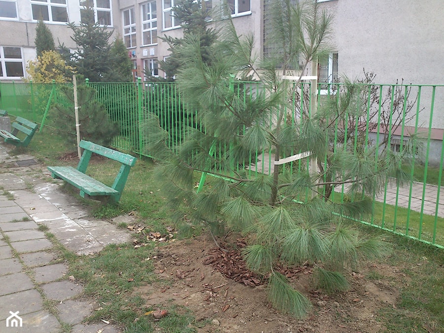 Zamówienie publiczne - zdjęcie od GARDEN & STONE DSIGN