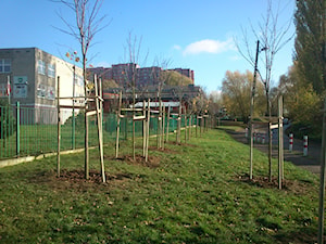 Zamówienie publiczne - zdjęcie od GARDEN & STONE DSIGN