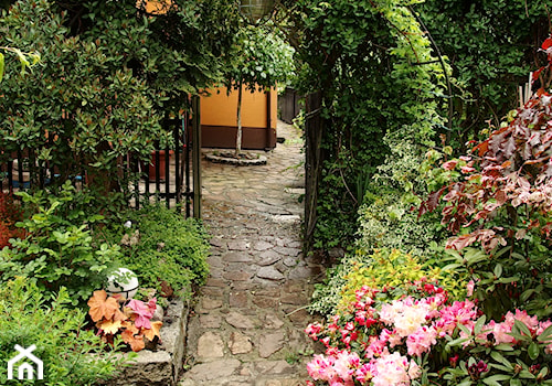 Średni z kamienną nawierzchnią ogród za domem z pergolą - zdjęcie od Joanna Morys-Orządała