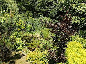 Średni ogród z oczkiem wodnym za domem - zdjęcie od Joanna Morys-Orządała