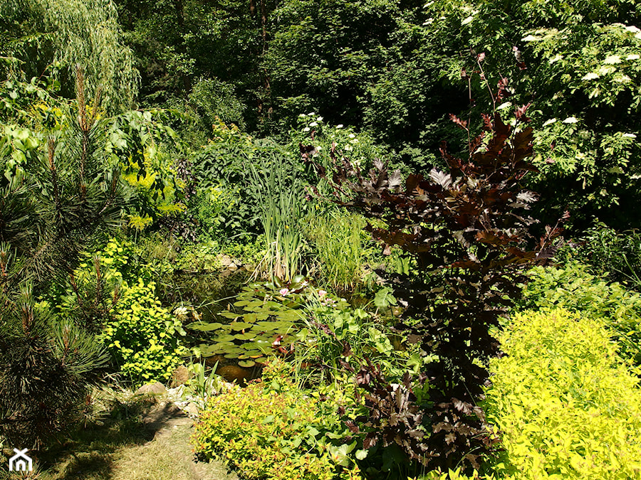 Średni ogród z oczkiem wodnym za domem - zdjęcie od Joanna Morys-Orządała