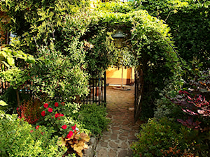 Średni z kamienną nawierzchnią ogród tropikalny za domem z pergolą - zdjęcie od Joanna Morys-Orządała