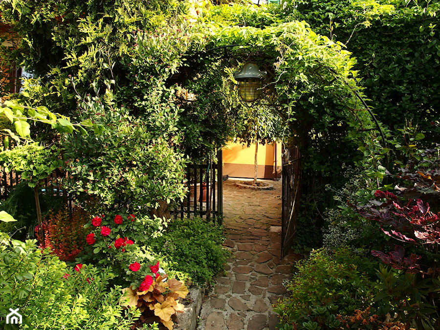 Średni z kamienną nawierzchnią ogród tropikalny za domem z pergolą - zdjęcie od Joanna Morys-Orządała