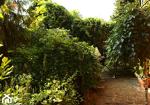 Średni z kamienną nawierzchnią ogród przed domem - zdjęcie od Joanna Morys-Orządała