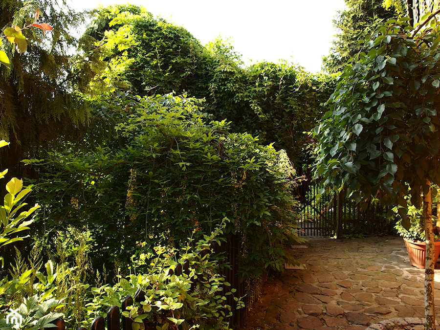 Średni z kamienną nawierzchnią ogród przed domem - zdjęcie od Joanna Morys-Orządała