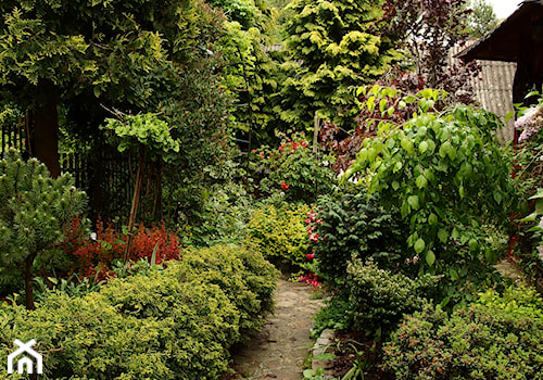 Średni z kamienną nawierzchnią ogród za domem - zdjęcie od Joanna Morys-Orządała