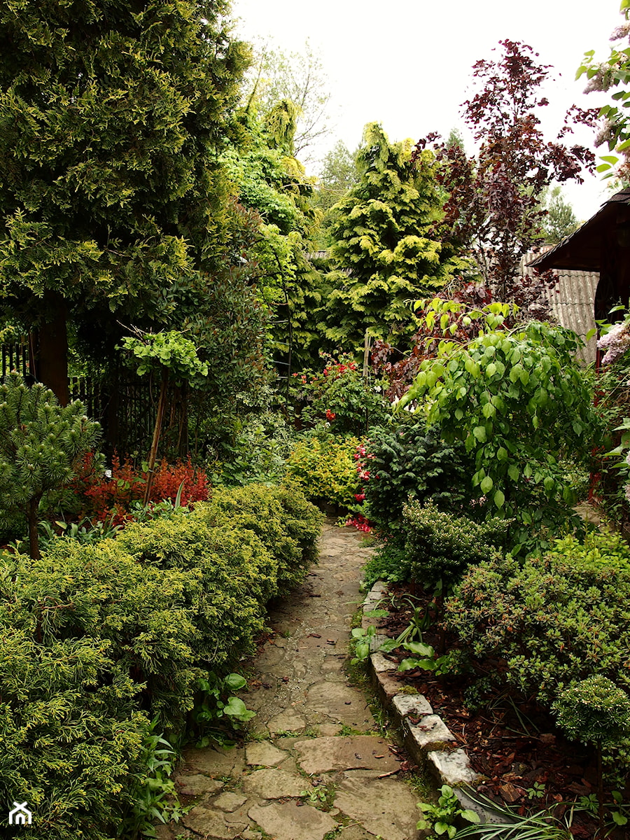 Średni z kamienną nawierzchnią ogród za domem - zdjęcie od Joanna Morys-Orządała