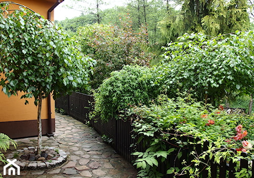 Średni z kamienną nawierzchnią ogród tropikalny za domem - zdjęcie od Joanna Morys-Orządała