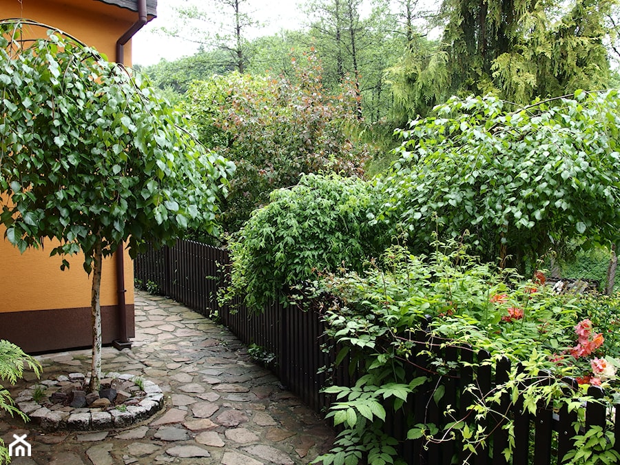 Średni z kamienną nawierzchnią ogród tropikalny za domem - zdjęcie od Joanna Morys-Orządała