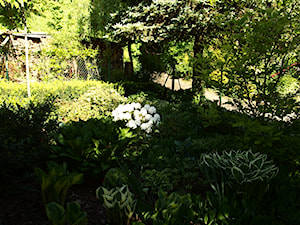 Ogród - zdjęcie od Joanna Morys-Orządała