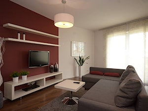 ekspresowy home staging czyli przygotowanie mieszkania na wynajem - Salon - zdjęcie od home2sell