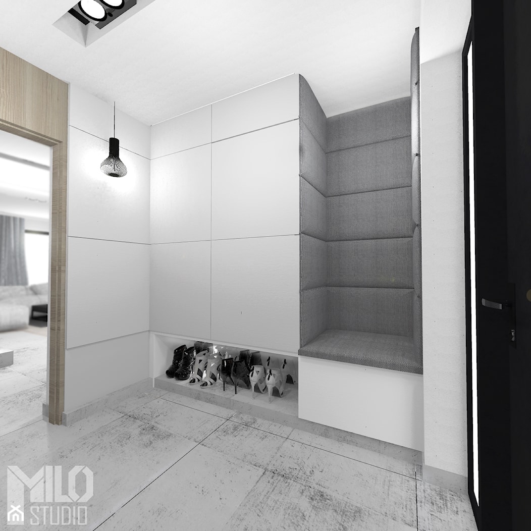 Wiatrołap w domu jednorodzinnym - zdjęcie od MILO studio - Homebook