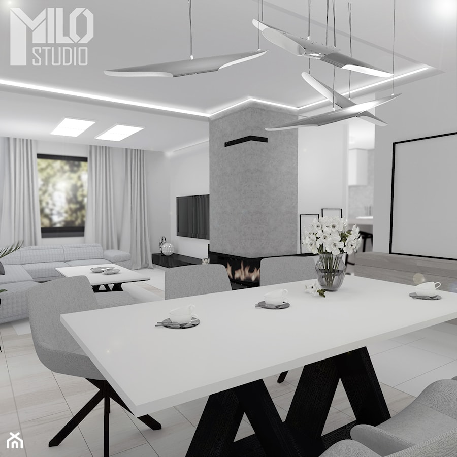 Elegancki salon w szarościach - zdjęcie od MILO studio