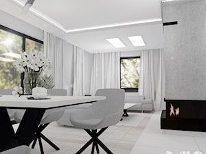 Elegancki salon w szarościach - zdjęcie od MILO studio