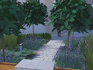 Projekt ogrodu - Tomaszkowo, ogród minimalistyczny