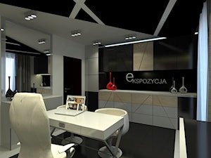 Projekt biura firmy meblarskiej - Wnętrza publiczne, styl nowoczesny - zdjęcie od Am Design Studio projektowania wnętrz
