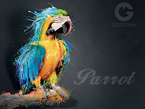 Niebieska Papuga - zdjęcie od Projectown