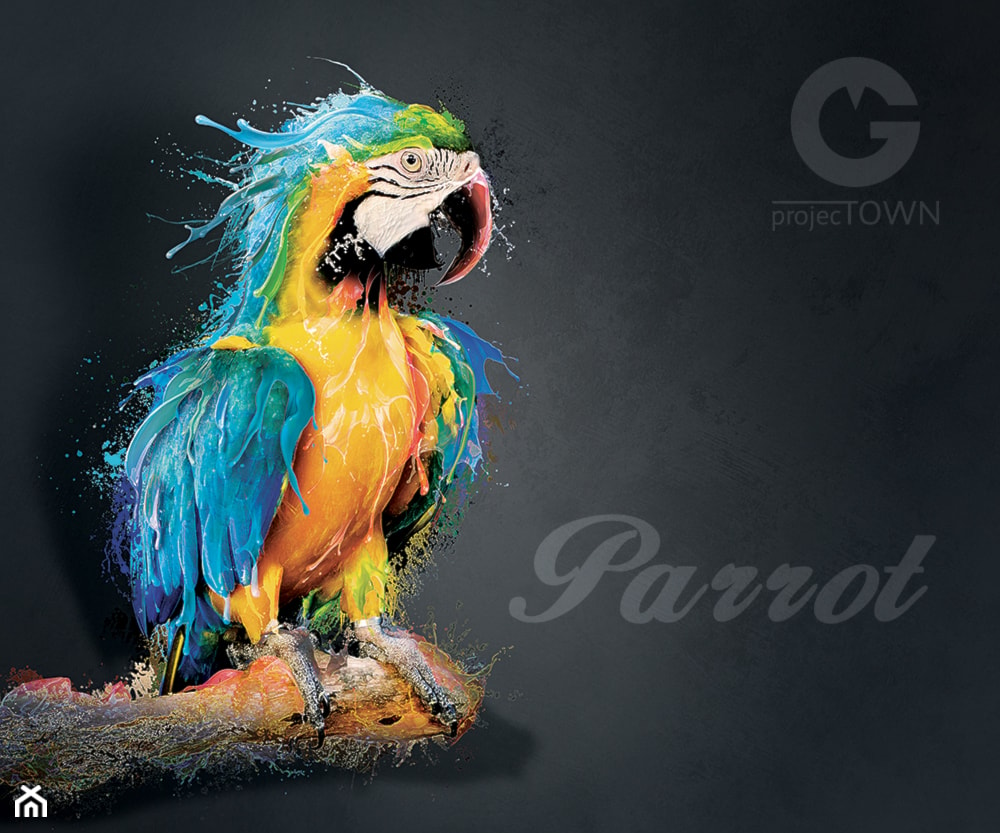 Niebieska Papuga - zdjęcie od Projectown - Homebook