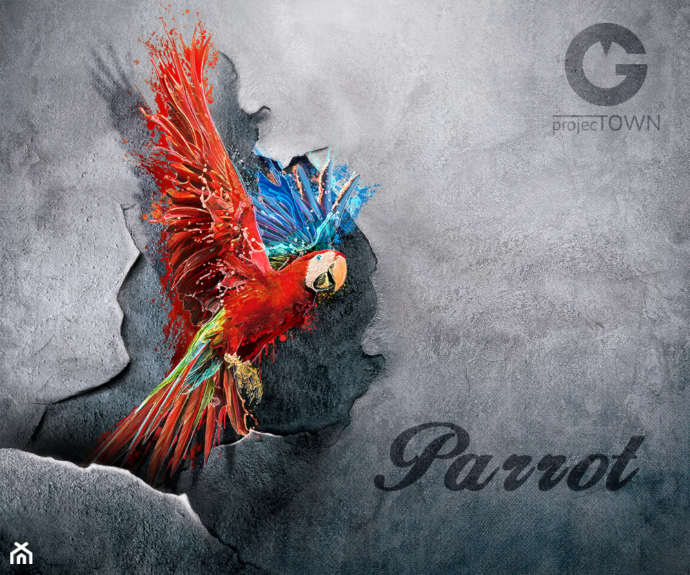 Czerwona Papuga - zdjęcie od Projectown - Homebook
