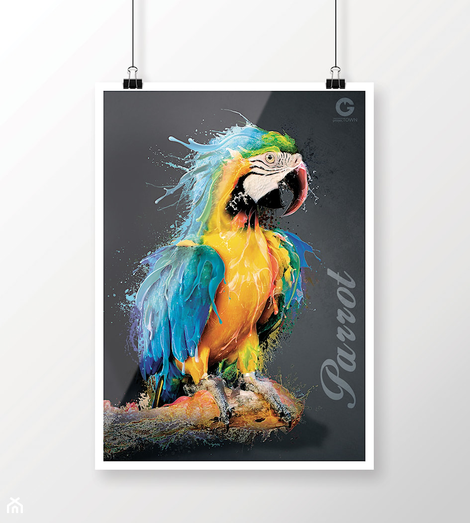 Niebieska Papuga Jako Plakat - zdjęcie od Projectown - Homebook