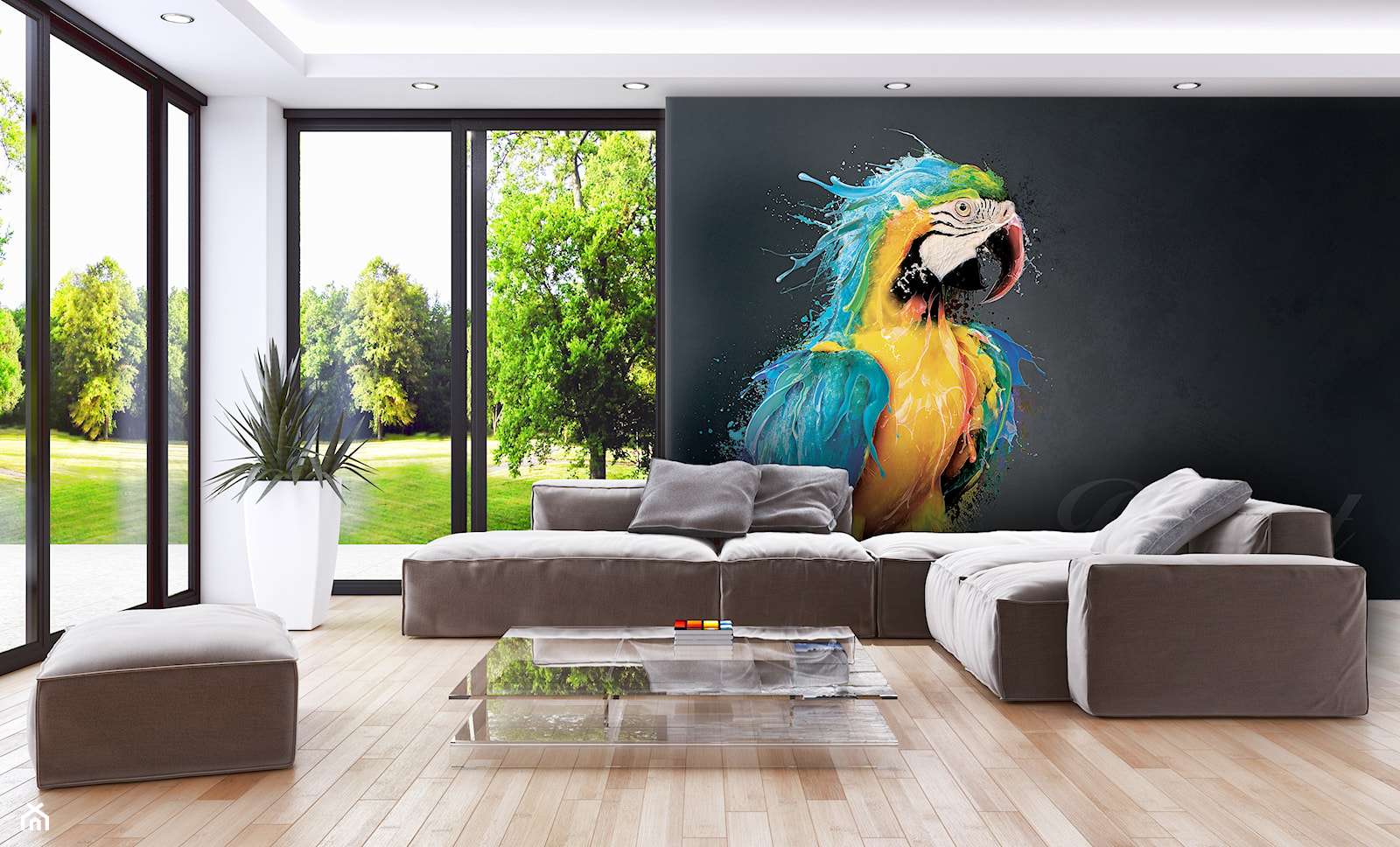 Niebieska Papuga Jako Fototapeta - zdjęcie od Projectown - Homebook