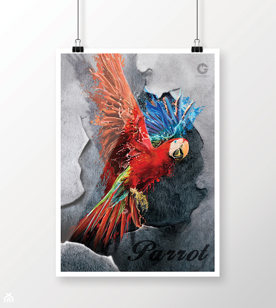Czerwona Papuga jako plakat - zdjęcie od Projectown - Homebook