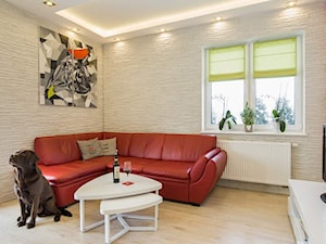 Dom jednororodzinny w Lipkowie - REALIZACJA - Salon, styl nowoczesny - zdjęcie od Medyńscy Projektowanie