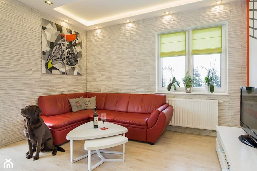 Dom jednororodzinny w Lipkowie - REALIZACJA - Salon, styl nowoczesny - zdjęcie od Medyńscy Projektowanie