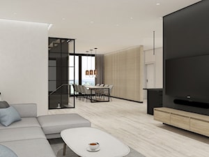 Projekt wnętrz domu w stylu nowoczesnym w Bielsku-Białej - Salon, styl nowoczesny - zdjęcie od AW-STUDIO Pracownia Architektury Wnętrz