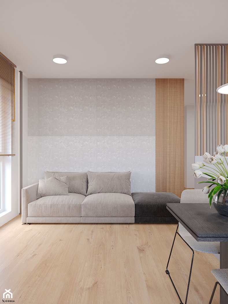 Apartament z ażurową kuchnią - Salon, styl minimalistyczny - zdjęcie od Xicorra Living - Homebook