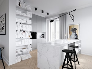 mieszkanie w kamienicy - Kuchnia, styl nowoczesny - zdjęcie od oshi pracownia projektowa