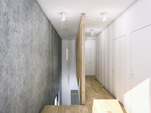 Wnętrza domu jednorodzinnego - Hol / przedpokój, styl nowoczesny - zdjęcie od ARCHMONDO