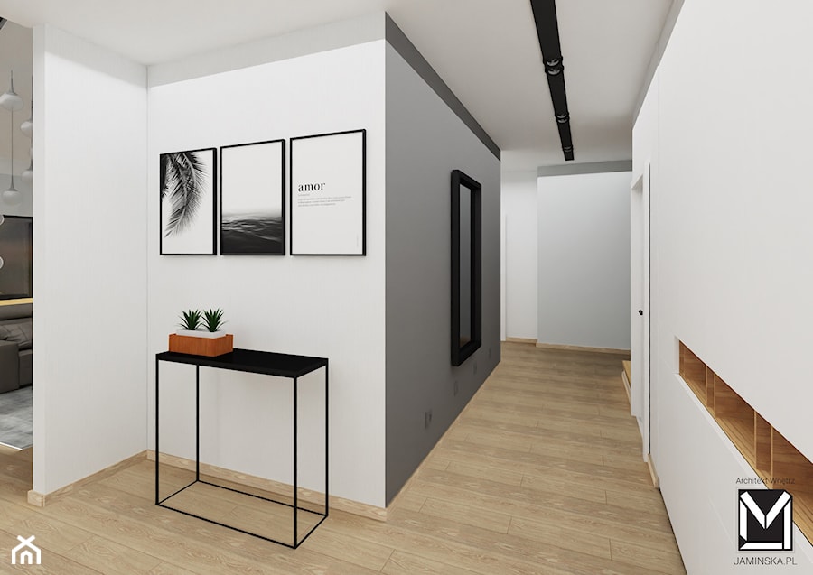 Projekt pomieszczeń wspólnych w domu jednorodzinnym - Duży biały szary hol / przedpokój, styl nowoczesny - zdjęcie od jaminska.pl