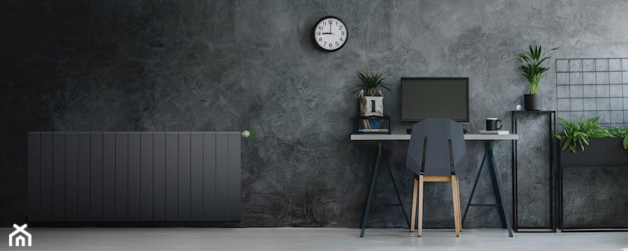 Heat Controller - Średnie czarne biuro, styl minimalistyczny - zdjęcie od Fibaro