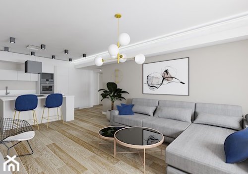 Szary salon w nowoczesnym stylu - zdjęcie od OHHOME - projekty, remonty, meble