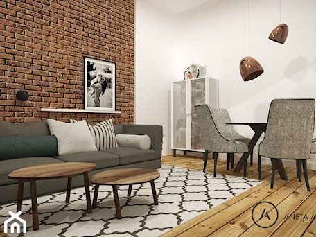 Aranżacje wnętrz - Salon: mieszkanie - koncepcja 2 - Aneta Adamowicz architektura wnętrz. Przeglądaj, dodawaj i zapisuj najlepsze zdjęcia, pomysły i inspiracje designerskie. W bazie mamy już prawie milion fotografii!