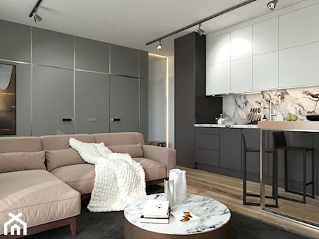 Aranżacje wnętrz - Kuchnia: APARTAMENT LESZNO kuchnia - Kuchnia, styl nowoczesny - MAJER concept. Przeglądaj, dodawaj i zapisuj najlepsze zdjęcia, pomysły i inspiracje designerskie. W bazie mamy już prawie milion fotografii!