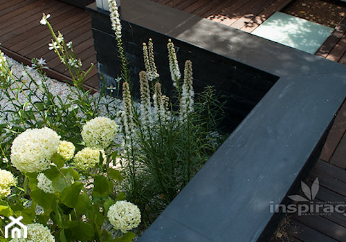 Ogród nowoczesny w Wilanowie - Średni ogród, styl nowoczesny - zdjęcie od Studio projektowe INSPIRACJE