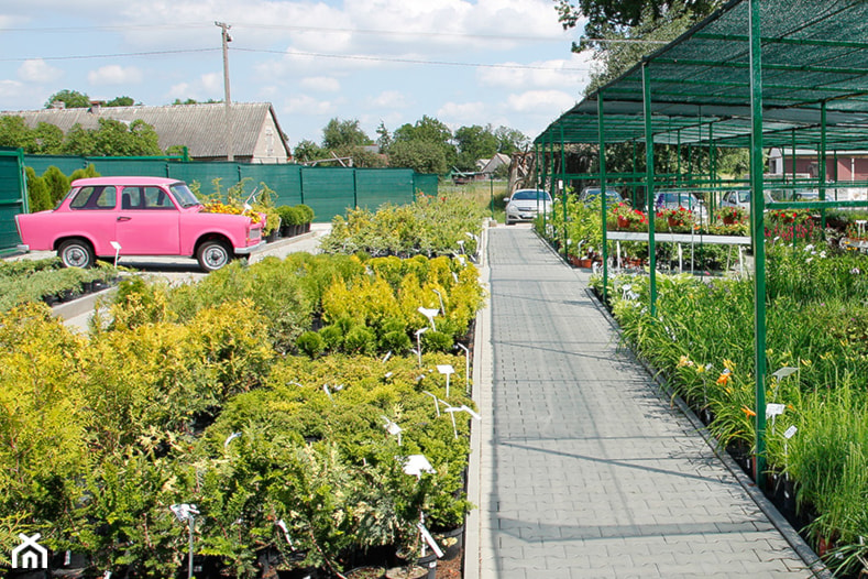 - zdjęcie od Rolmarket.pl