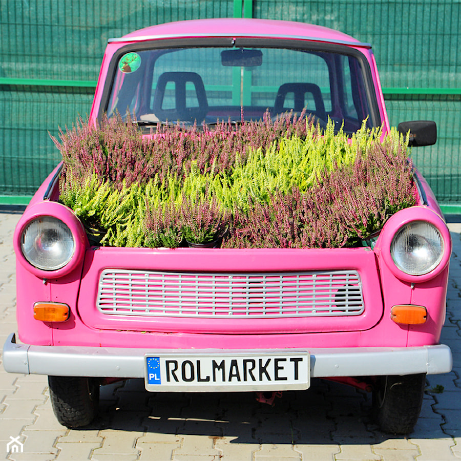 - zdjęcie od Rolmarket.pl