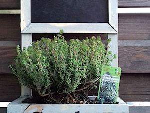 Mini ogródek ziołowy - Taras - zdjęcie od OGRÓD & WNĘTRZE