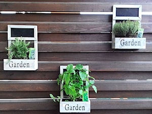 Mini ogródek ziołowy