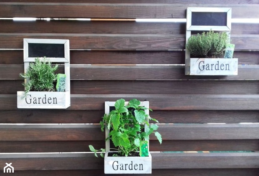 Mini ogródek ziołowy - Taras - zdjęcie od OGRÓD & WNĘTRZE